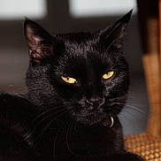 Souko participe au concours pour gagner de l'argent avec cette photo :