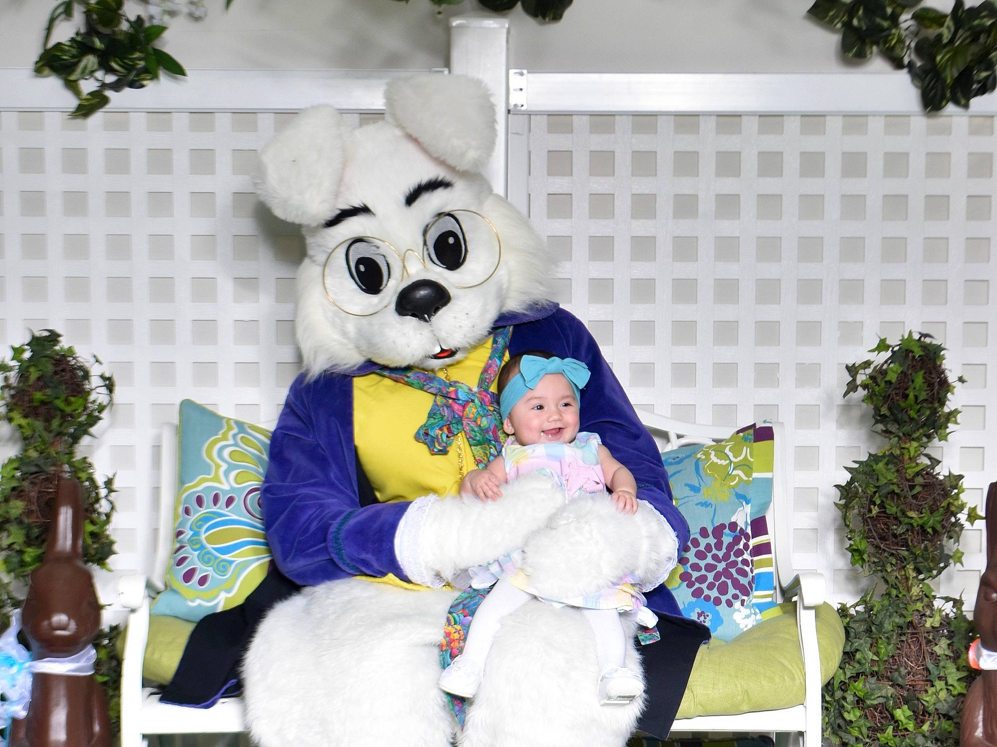 Chanel joined the competition — help win amazing prizes! costume, event, fictional_character, flowerpot, fun, fur, green, happy, hat, headwear, houseplant, joy, leisure, mascot, person, plant, plush, recreation, snapshot, stuffed_toy