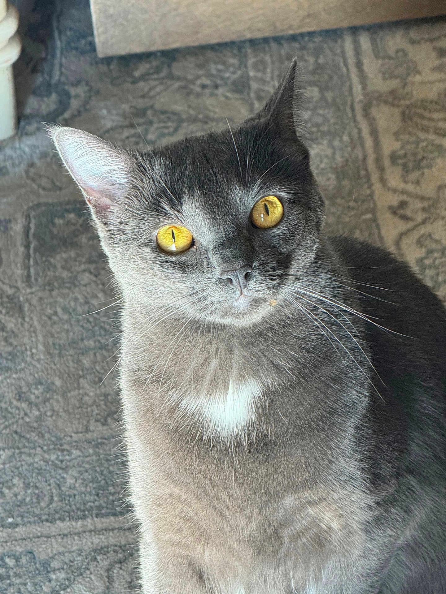 Pearl