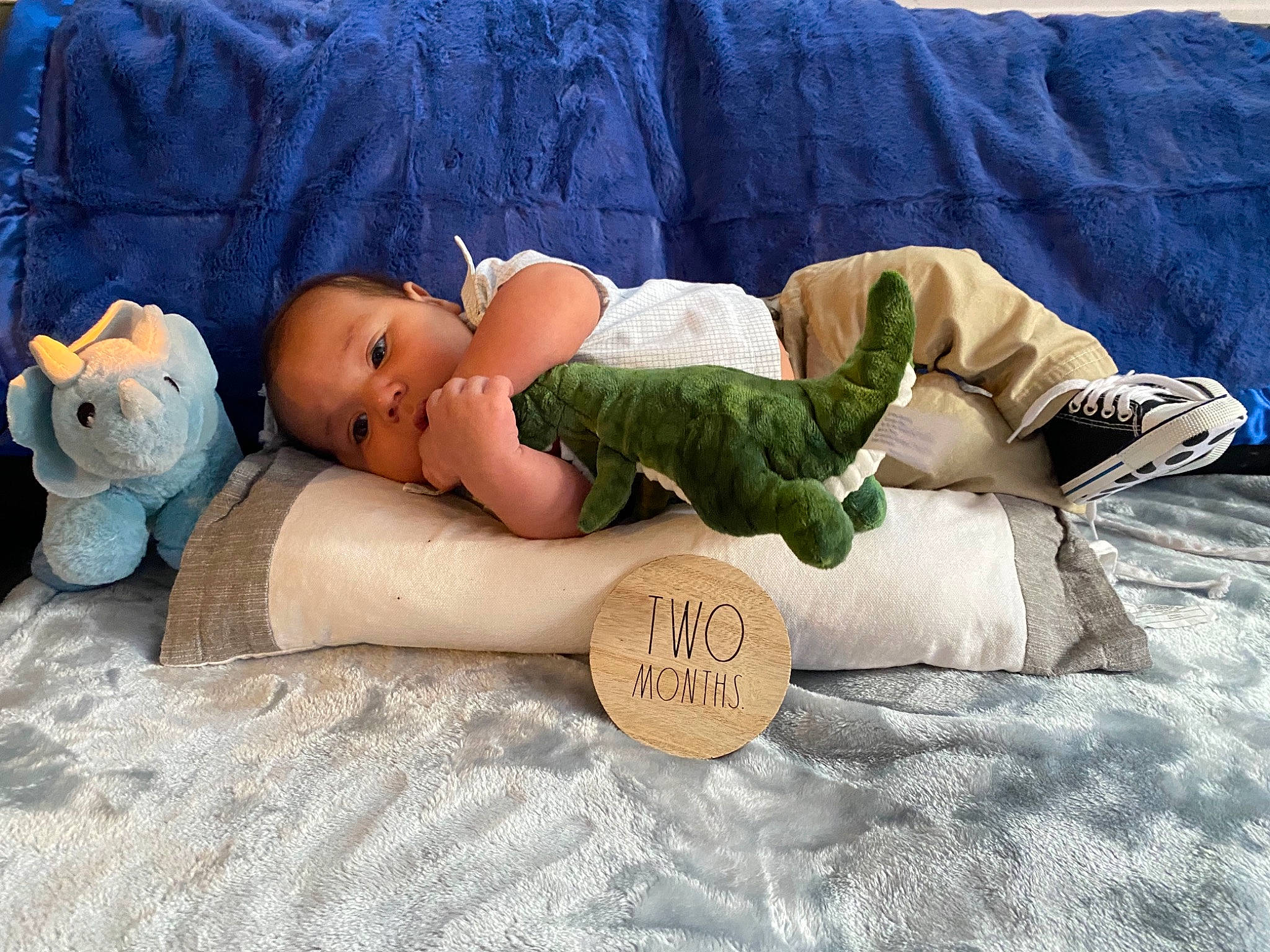 Benito joined the competition — help win amazing prizes! baby, baby_products, baby_sleeping, baby_toddler_clothing, child, comfort, doll, grass, linens, mammal, person, plush, product, sock, stuffed_toy, teddy_bear, textile, thigh, toddler, toy
