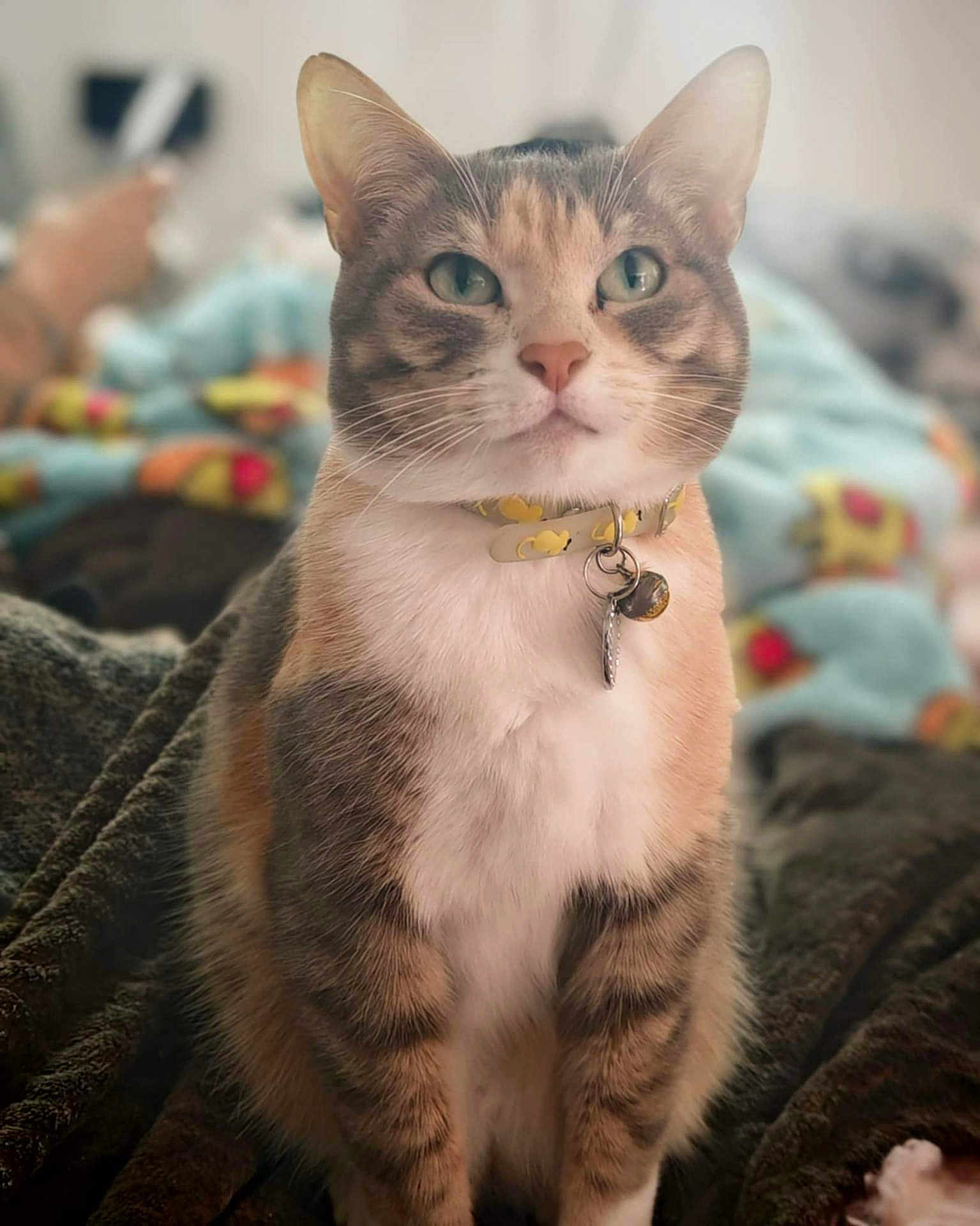 Lili