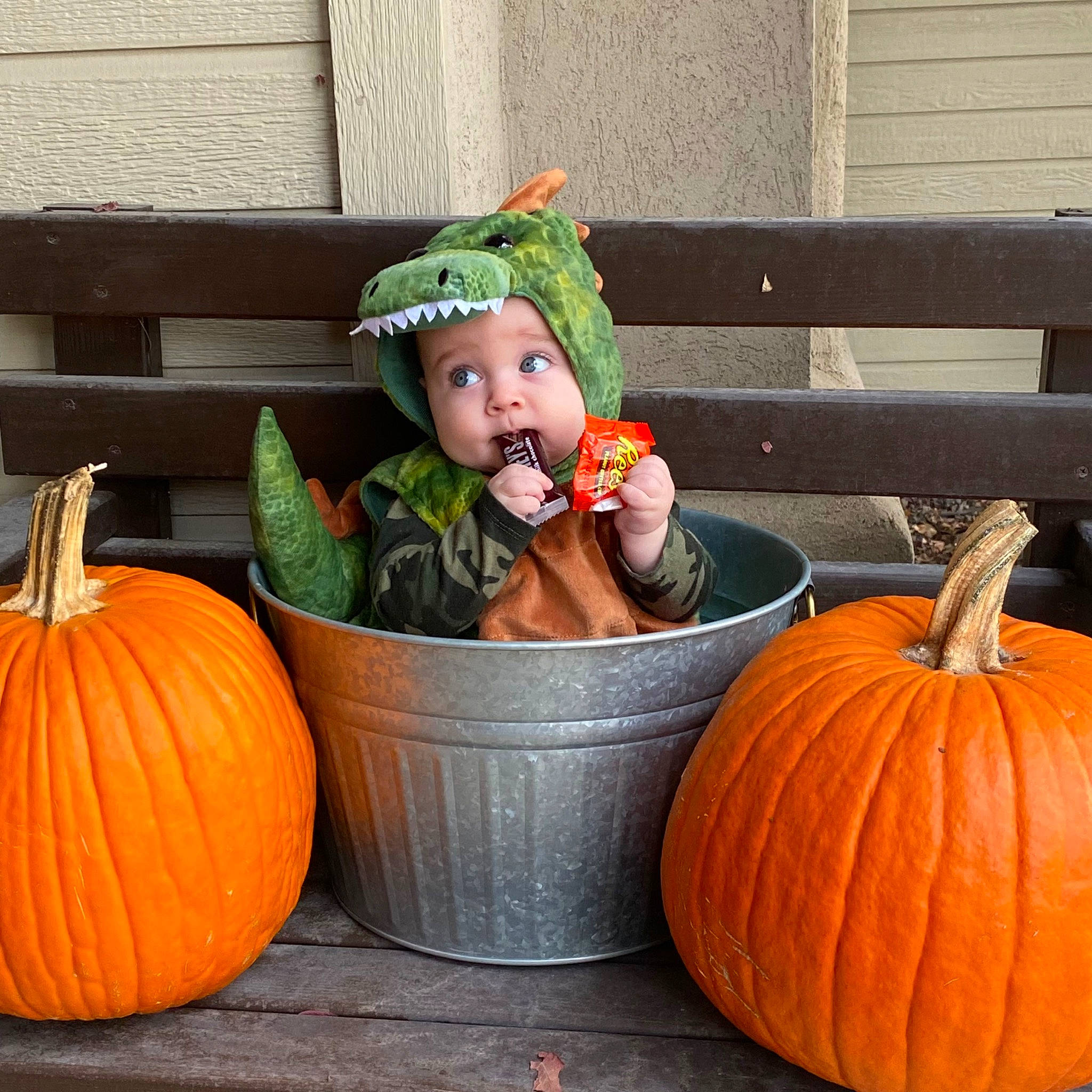 Jaxtyn joined the competition — help win amazing prizes! calabaza, cucurbita, eye, fruit, gourd, grass, hat, headwear, leaf, local_food, natural_foods, orange, organ, person, plant, pumpkin, squash, surprise, toddler, vegetable
