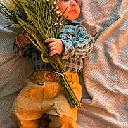 Nived is registered to the contest to win money with this photo: baby, child, flower_bouquet, blanket, clothing, pants, shirt, barefoot, lying_down, soft_texture, indoor, portrait, cute, peaceful, natural_light, hand, face, plant, toddler, relaxation