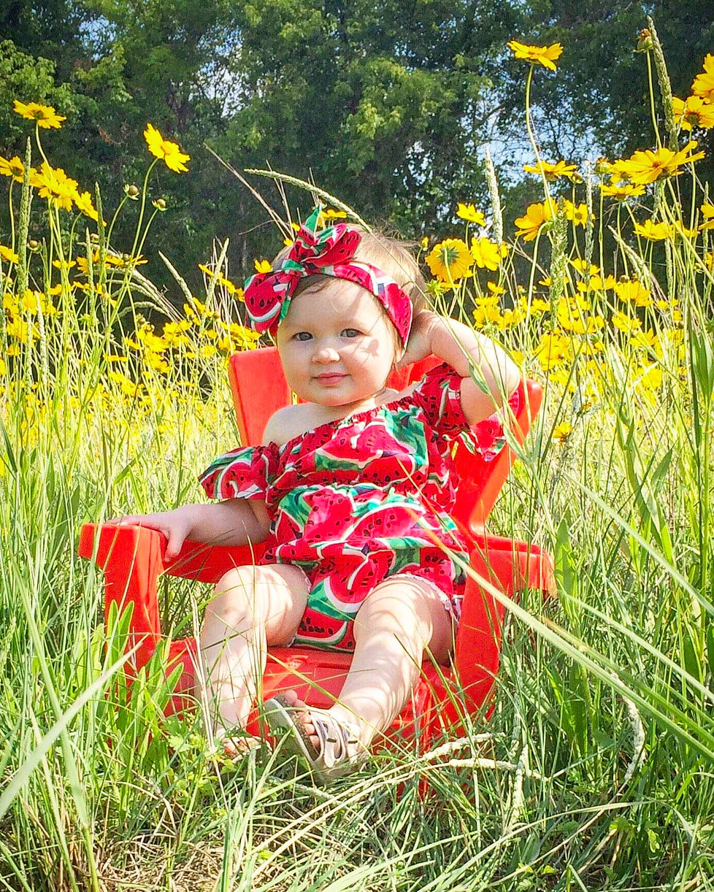 Kaydence is registered to the contest to win money with this photo: child, field, flower, grass, grass_family, grassland, happy, meadow, natural_environment, people_in_nature, person, photography, plant, prairie, sitting, smile, spring, sunlight, toddler, wildflower