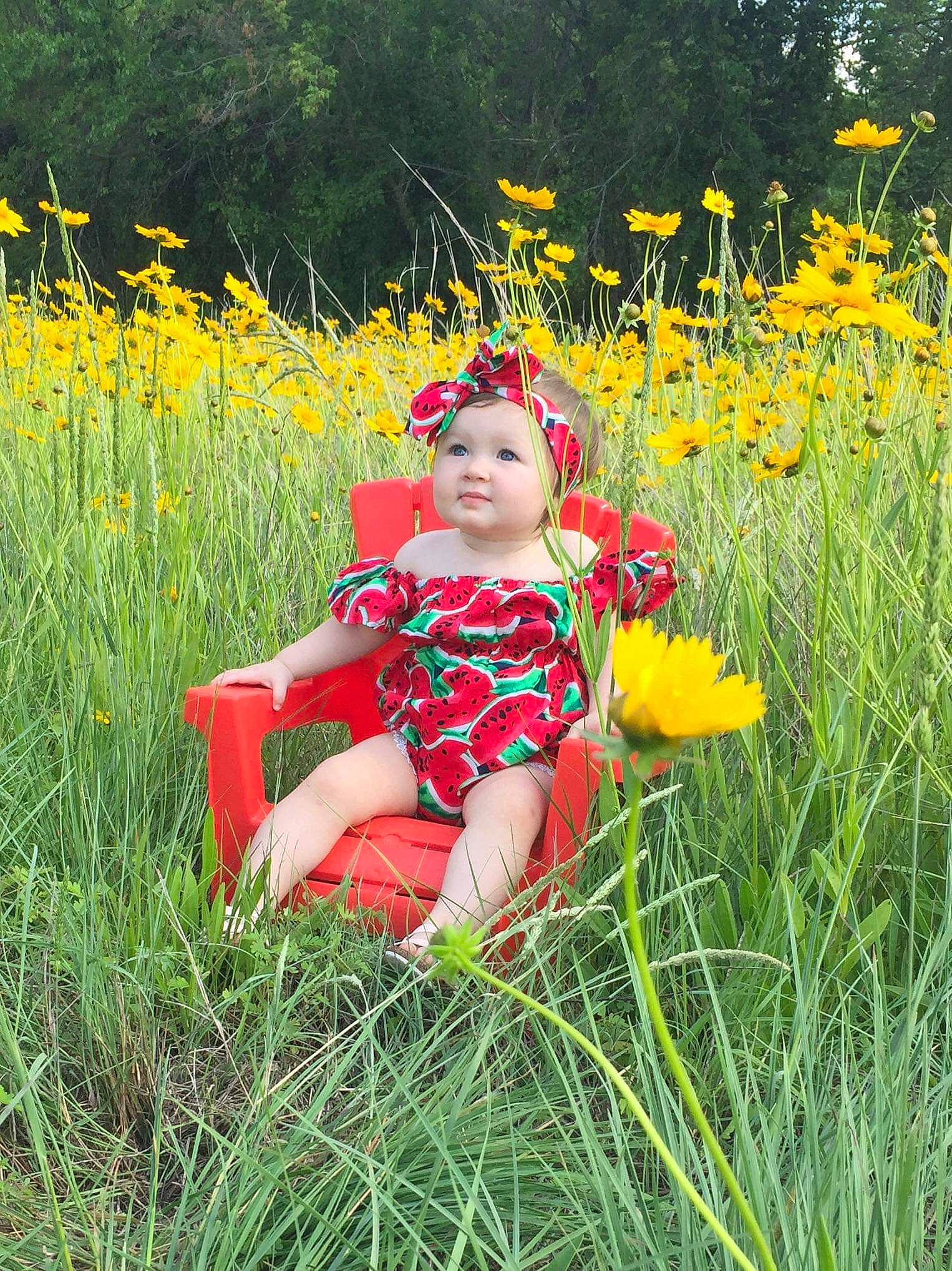 Kaydence joined the competition — help win amazing prizes! botany, child, coquelicot, flower, grass, grass_family, grassland, happy, meadow, natural_environment, people_in_nature, person, plant, prairie, red, sitting, spring, summer, toddler, wildflower