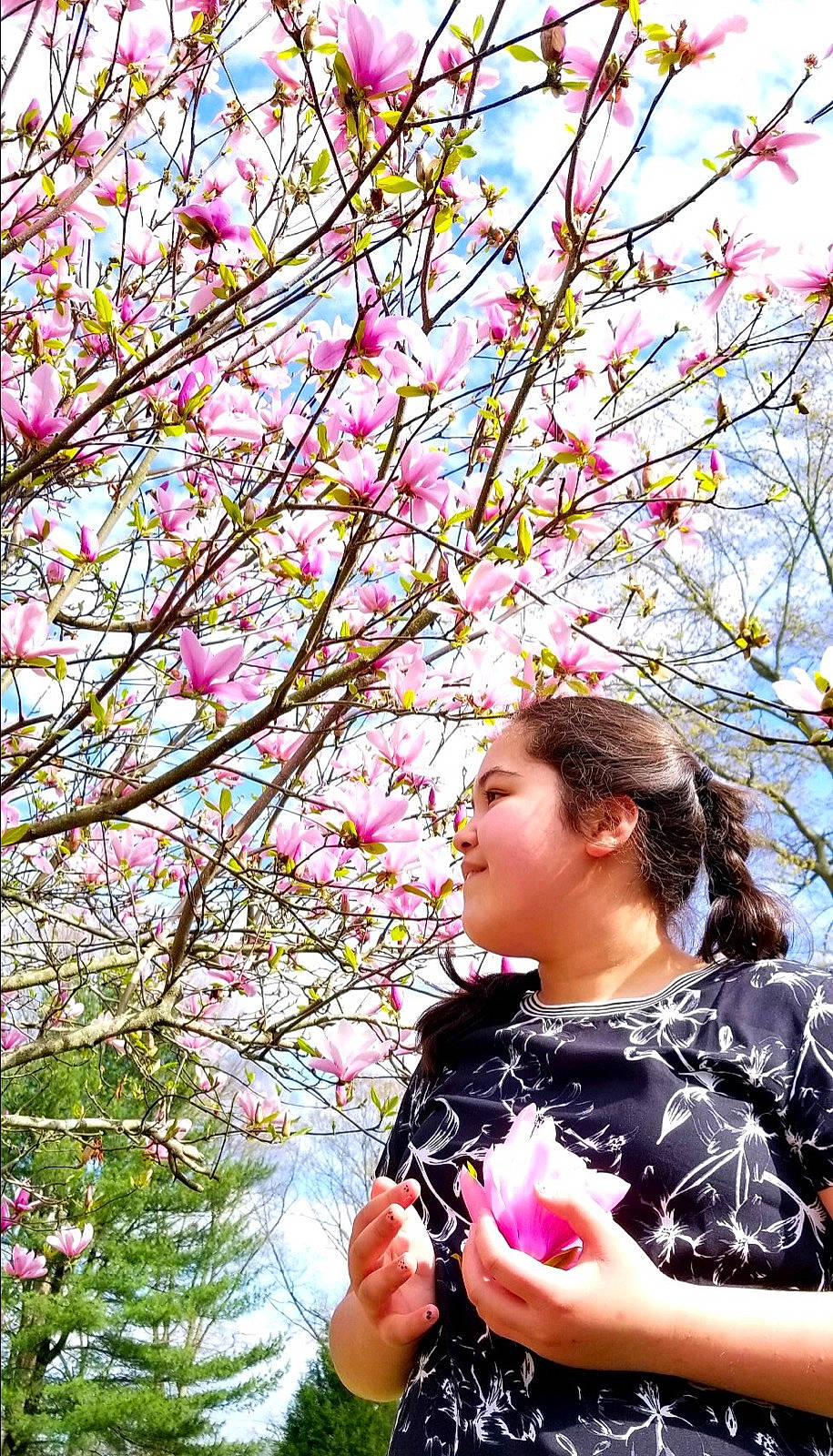 Helena is registered to the contest to win money with this photo: blossom, botany, branch, cloud, event, flower, flowering_plant, hand, happy, joy, leisure, nature, people_in_nature, person, petal, pink, plant, sky, spring, tree