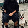 beard, black_clothing, casual, chain_link_fence, companion, concrete, daylight, dog, friendship, happy, ladder, man, outdoor, pet, shoes, shorts, smiling, tool, urban, wheelchair