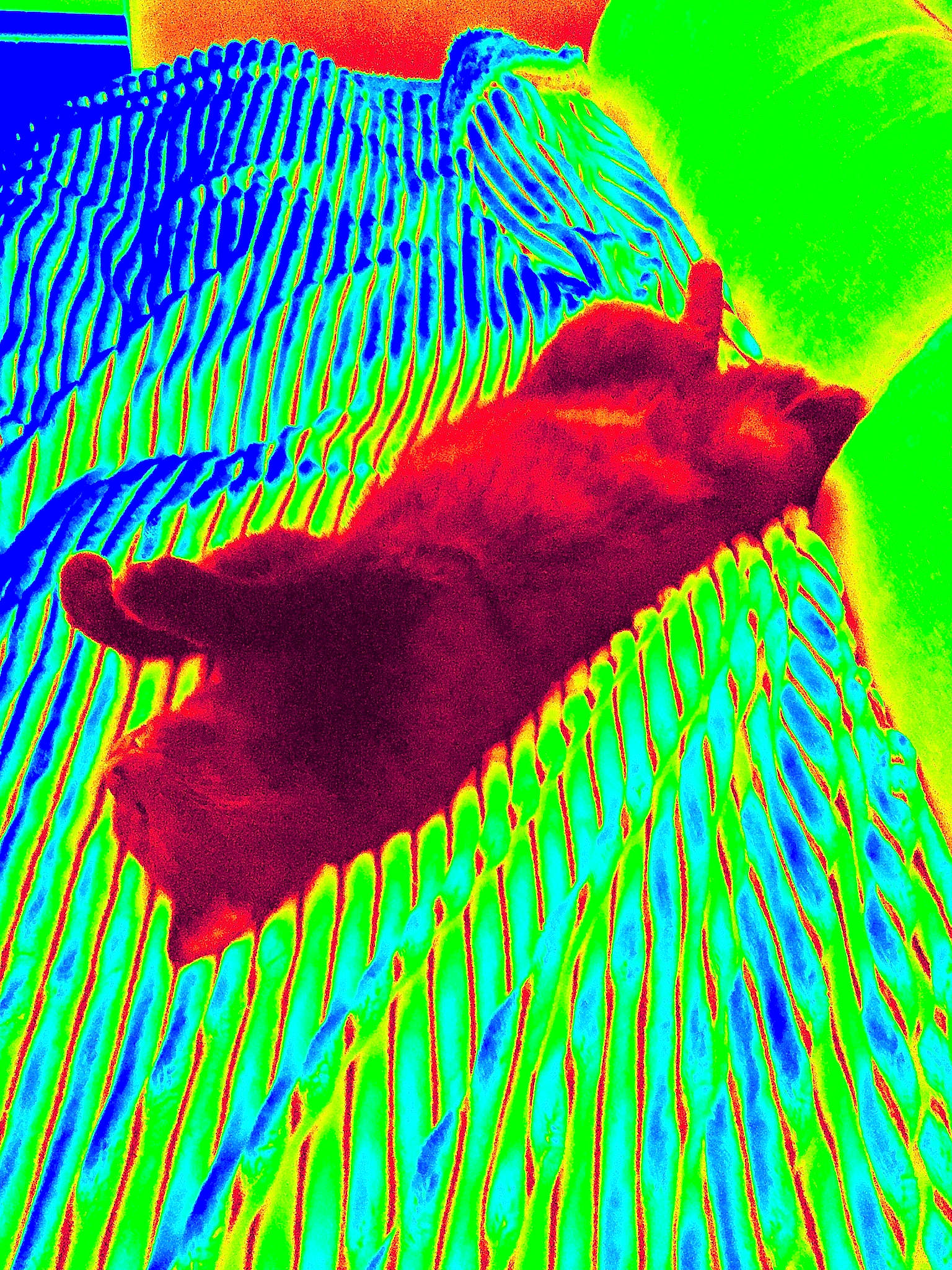 Loustik a rejoint le concours — aidez-le/la à gagner de superbes lots !