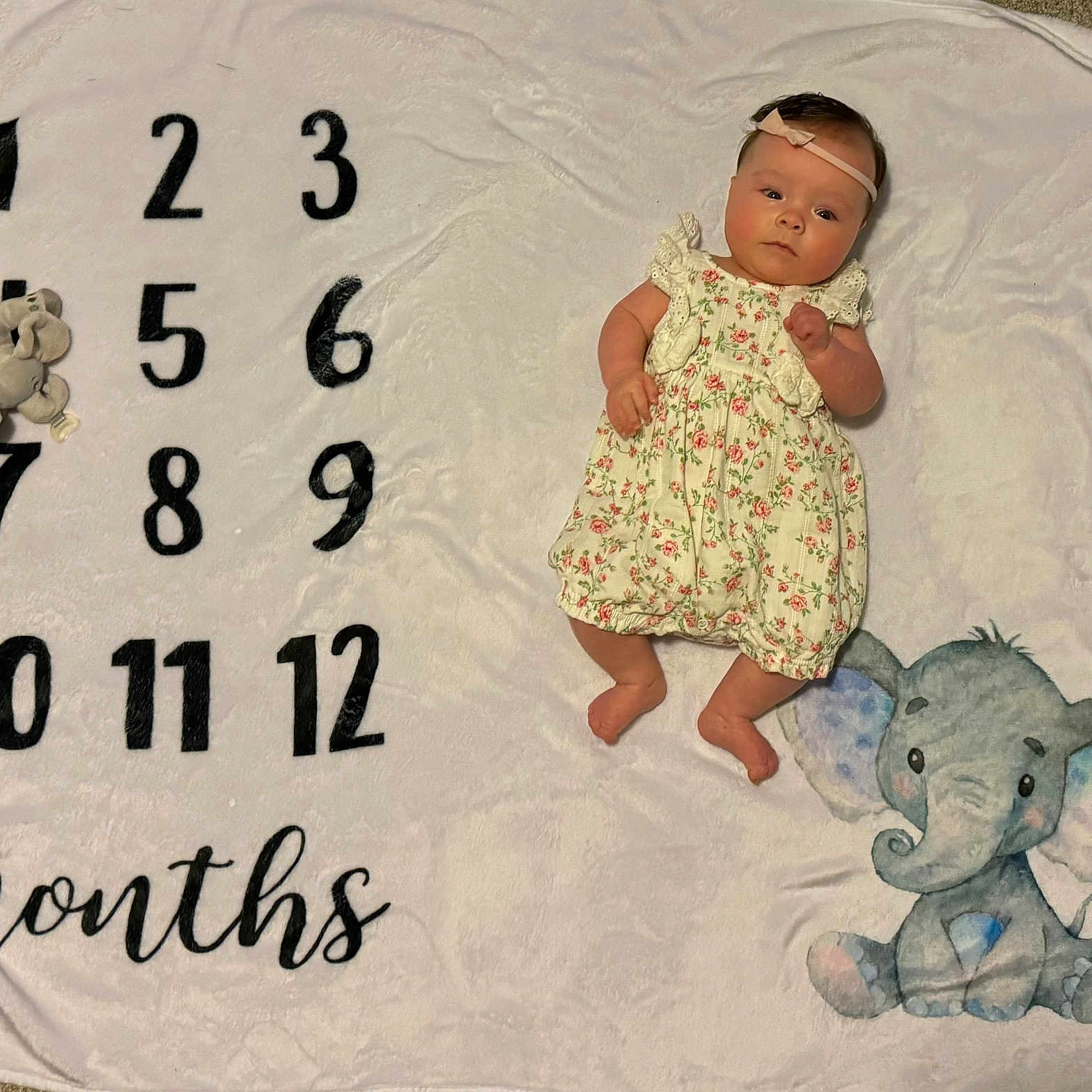 Mckynli joined the competition — help win amazing prizes! animal, baby, bear, bed, blanket, clothing, dress, face, furniture, head, newborn, number, person, photography, portrait, sitting, symbol, t_shirt, text, toy