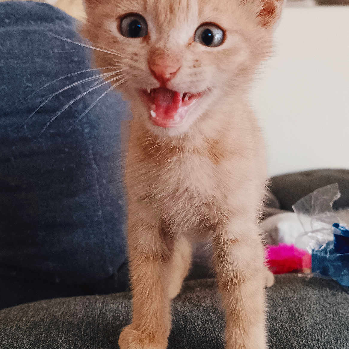 Marley