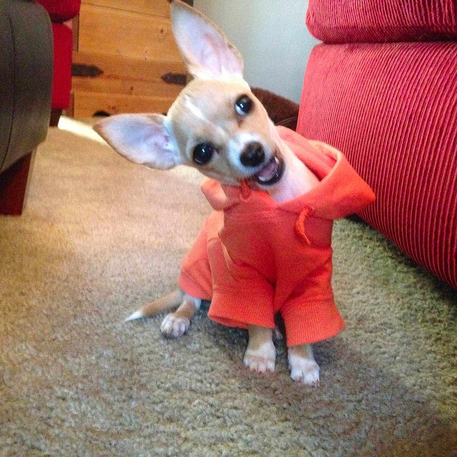 Kevin is registered to the contest to win money with this photo: