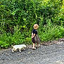Ghost joined the competition — help win amazing prizes! child, puppy, dog, walking, outdoor, nature, greenery, gravel_path, dress, curly_hair, young, pet, side_view, daylight, plants, casual, companionship, small_dog, exploration, adventure