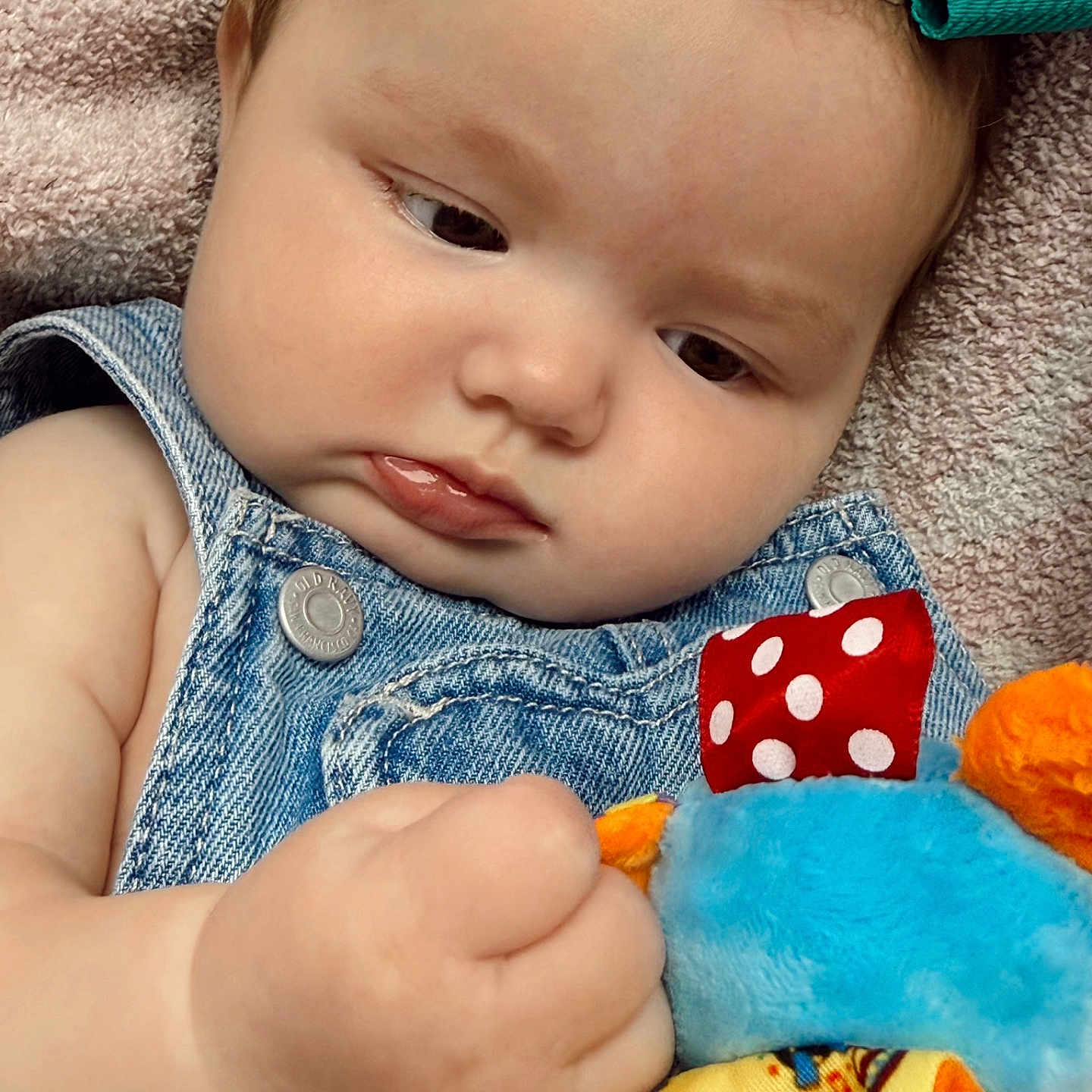 Ivy joined the competition — help win amazing prizes! baby, child, denim_overalls, plush_toy, close_up, soft_blanket, blue_bow, cute, infant, portrait, hand, face, skin, clothing, colorful, texture, indoor, expression, young, person