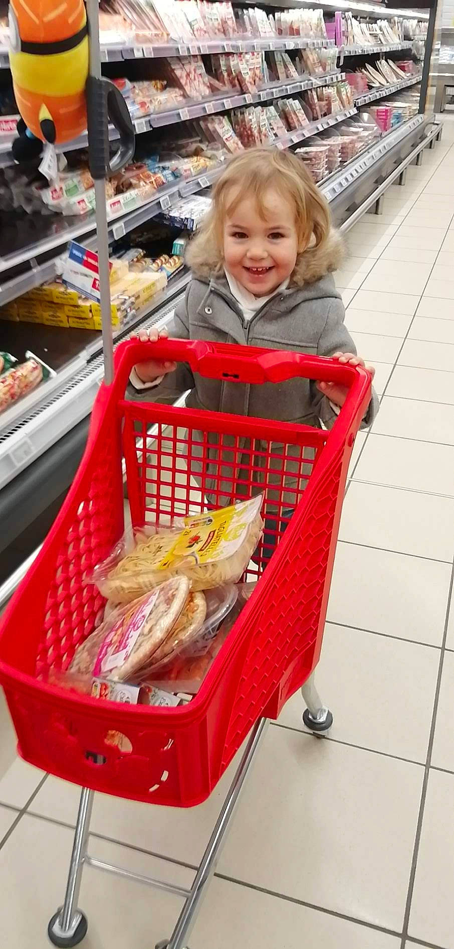 Elena participe au concours pour gagner de l'argent avec cette photo : basket, cart, cuisine, customer, food, food_storage, ingredient, joy, local_food, market, marketplace, natural_foods, person, photograph, plastic_bag, retail, shopping, shopping_cart, smile, snapshot