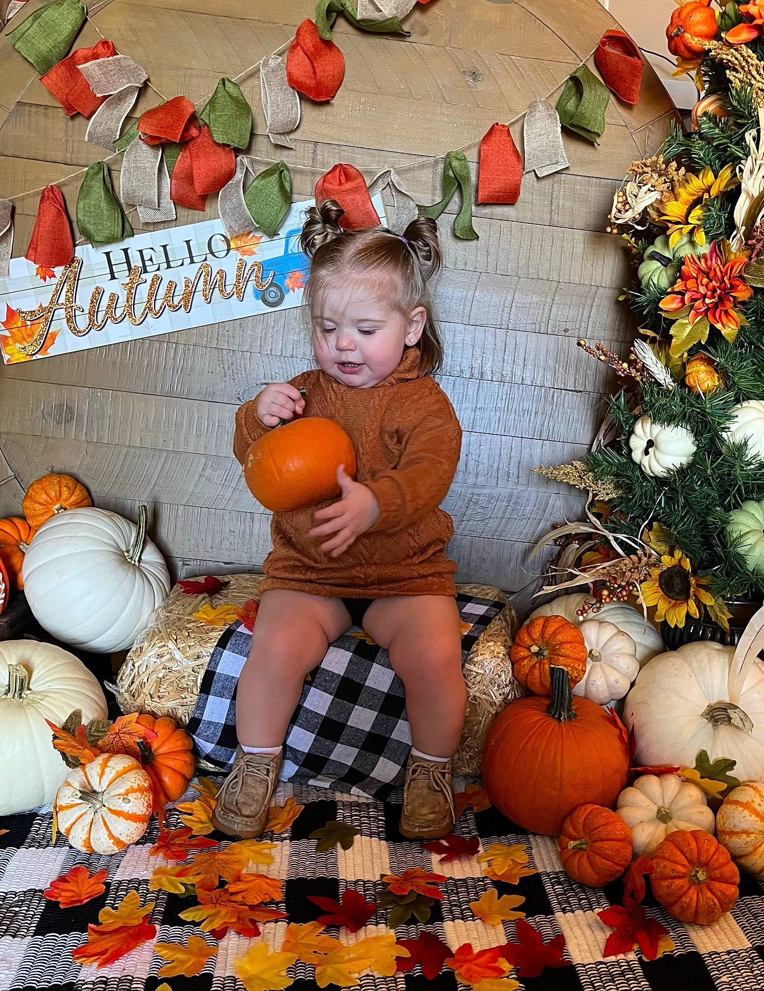 Kali joined the competition — help win amazing prizes! boot, calabaza, cucurbita, event, fruit, gourd, grass, happy, local_food, natural_foods, orange, person, plant, produce, pumpkin, squash, tradition, tree, vegetable, whole_food