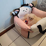 Kyra a rejoint le concours — aidez-le/la à gagner de superbes lots ! dog, pomeranian, puppy, pet_bed, pink, white, fluffy, toy, cushion, cartoon_face, tiled_floor, ceramic_tile, indoor, cozy, small_dog, bedroom_decor, strap, shadow, wall, furniture