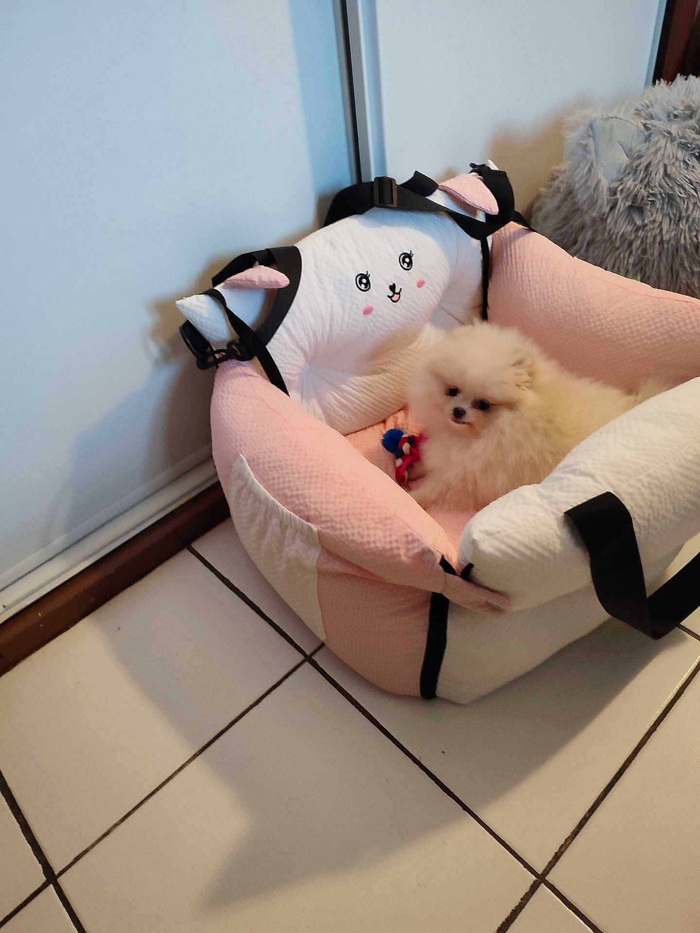 Kyra a rejoint le concours — aidez-le/la à gagner de superbes lots ! dog, pomeranian, puppy, pet_bed, pink, white, fluffy, toy, cushion, cartoon_face, tiled_floor, ceramic_tile, indoor, cozy, small_dog, bedroom_decor, strap, shadow, wall, furniture