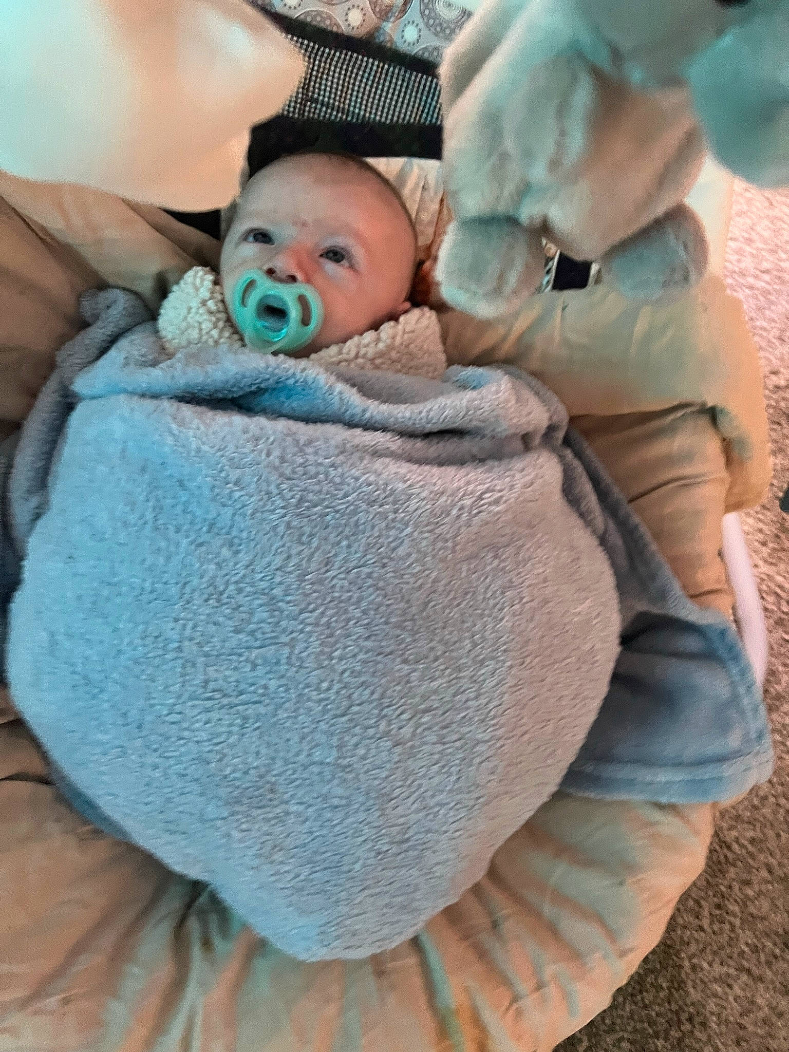 Payton joined the competition — help win amazing prizes! baby, baby_products, baby_safety, baby_sleeping, baby_toddler_clothing, cap, cheek, child, comfort, fun, grass, linens, pattern, person, sitting, skin, toddler, white, wool, woolen