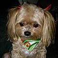 Penny S.