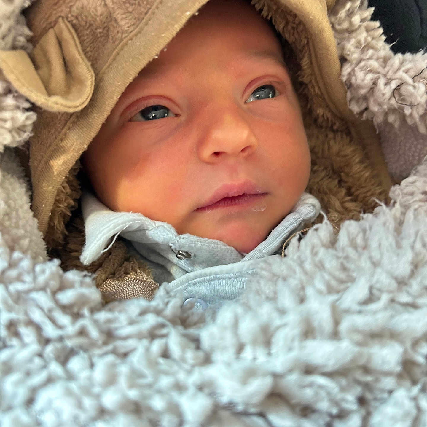 Anastasia participe au concours pour gagner de l'argent avec cette photo : baby, blanket, bonnet, cap, clothing, coat, face, hat, head, hood, hoodie, jacket, knitwear, newborn, person, photography, portrait, quilt, sweater, sweatshirt