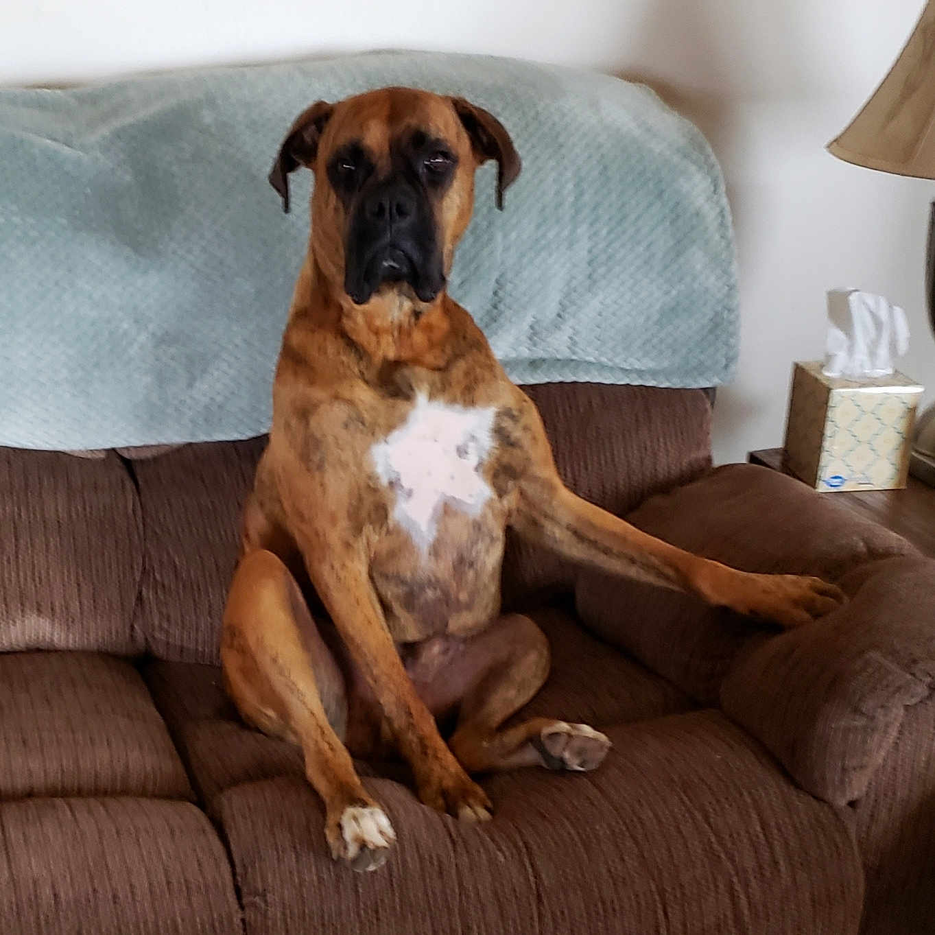 Sampson