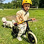 Côme a rejoint le concours — aidez-le/la à gagner de superbes lots ! toddler, helmet, balance_bike, grass, sunny_day, dog, white_dog, outdoor, child, casual_clothing, sneakers, park, greenery, play, fun, summer, cute, pet, animal, nature