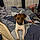 Sofie