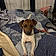 Sofie