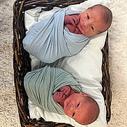 Oliver And Colton joined the competition — help win amazing prizes! newborn, baby, swaddle, basket, infant, wrapped, cute, sleeping, resting, soft, carpet, blanket, twin, newborn_babies, face, hands, cozy, portrait, indoor, child