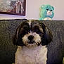 dog, couch, plush_toy, stuffed_animal, painting, indoor, furniture, pet, fur, small_dog, gray_couch, portrait, cute, animal, living_room, decor, toy, seated, fluffy, companion