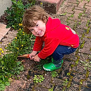 Rafaël participe au concours pour gagner de l'argent avec cette photo : child, crouching, curly_hair, flowers, gardening, green_boots, hand_tool, happy_expression, outdoor, pavement, plant_life, playful, portrait, red_hoodie, smiling, soil, steps, toddler, weeds, yellow_flowers