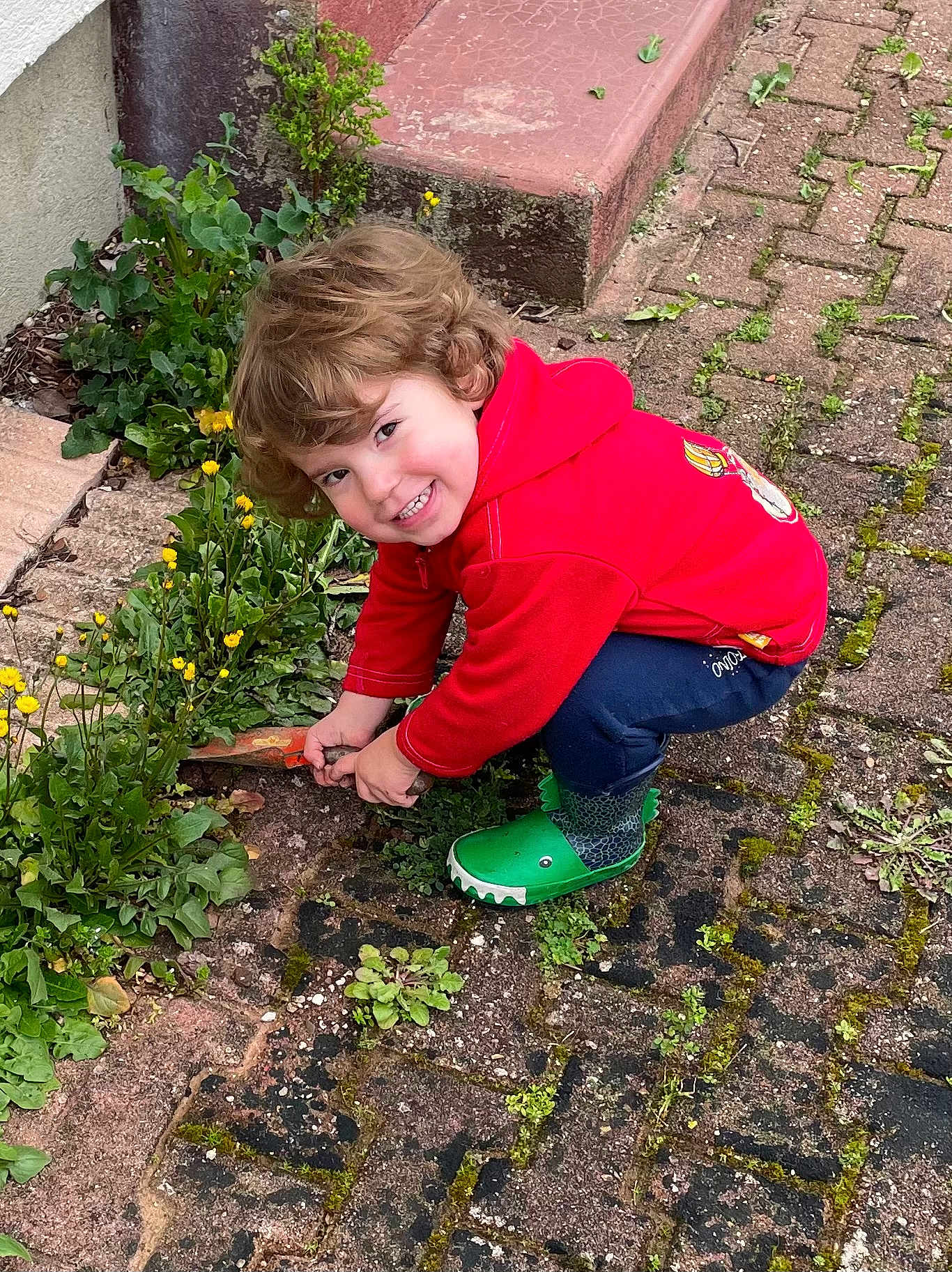 Rafaël participe au concours pour gagner de l'argent avec cette photo : child, crouching, curly_hair, flowers, gardening, green_boots, hand_tool, happy_expression, outdoor, pavement, plant_life, playful, portrait, red_hoodie, smiling, soil, steps, toddler, weeds, yellow_flowers