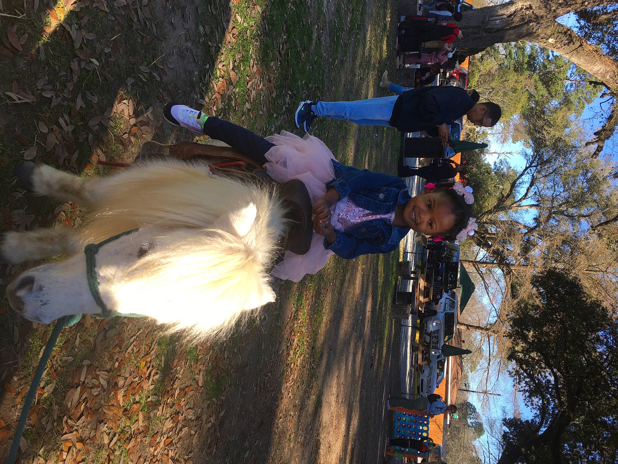 Avery joined the competition — help win amazing prizes! adventure, auto_part, dog, fun, fur, grass, joy, landscape, leisure, person, plant, recreation, shadow, sky, soil, tail, tire, tree, under_exposed, wheel