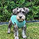 Arlo
