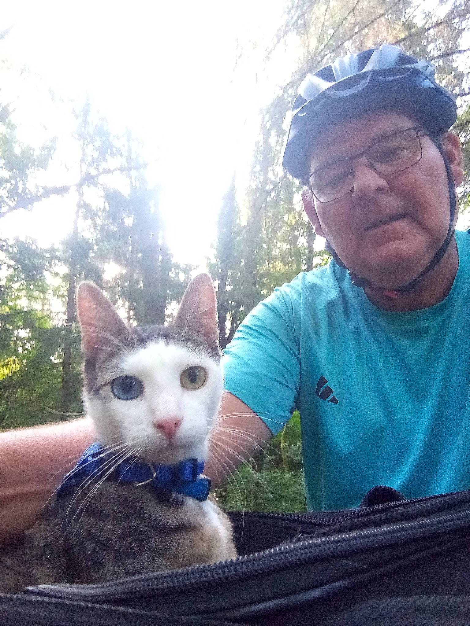 Snowy participe au concours pour gagner de l'argent avec cette photo : baseball_cap, cap, carnivore, cat, cool, eyewear, facial_expression, fawn, felidae, glasses, grass, hat, plant, sky, small_to_medium_sized_cats, snout, t_shirt, tail, tree, whiskers