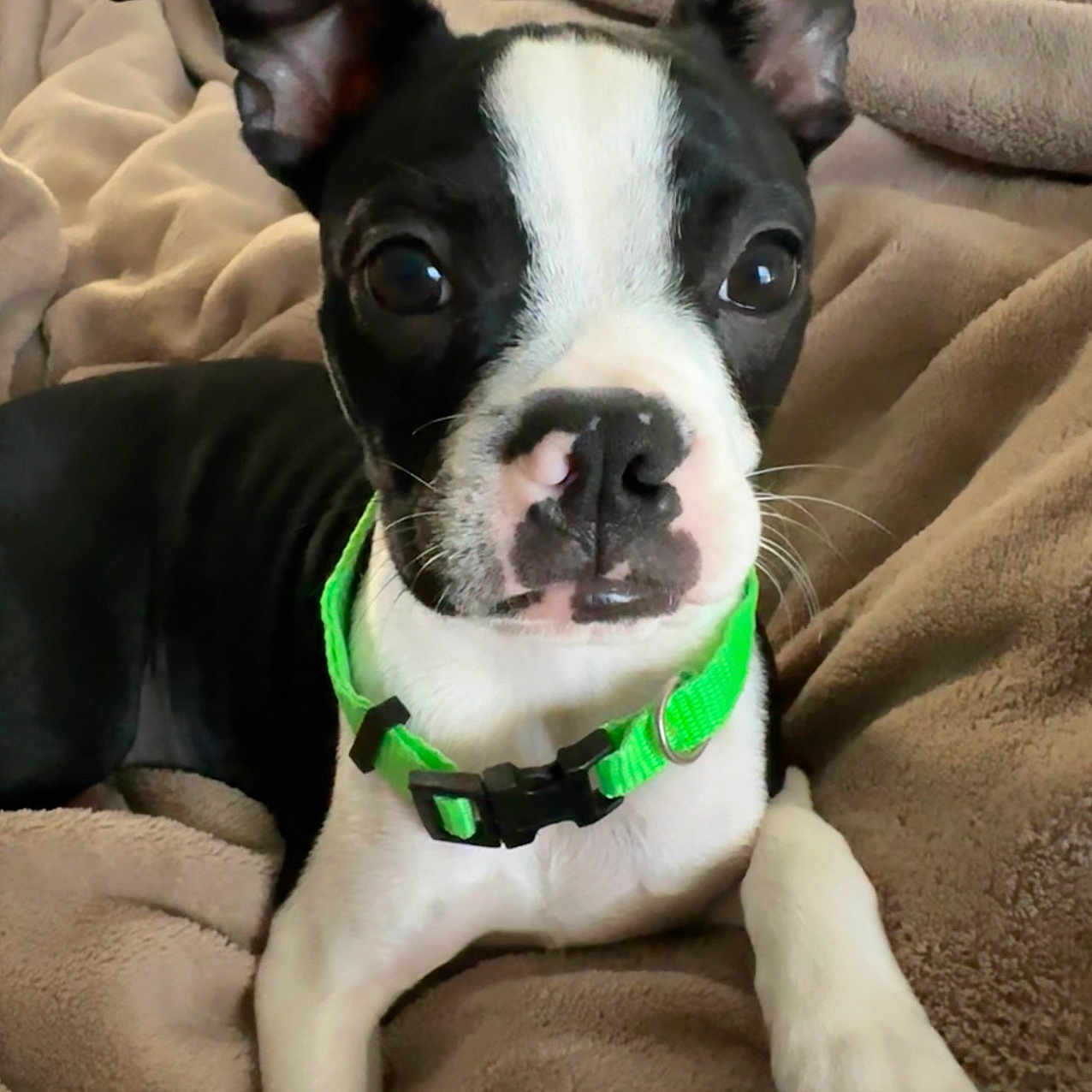 Charley