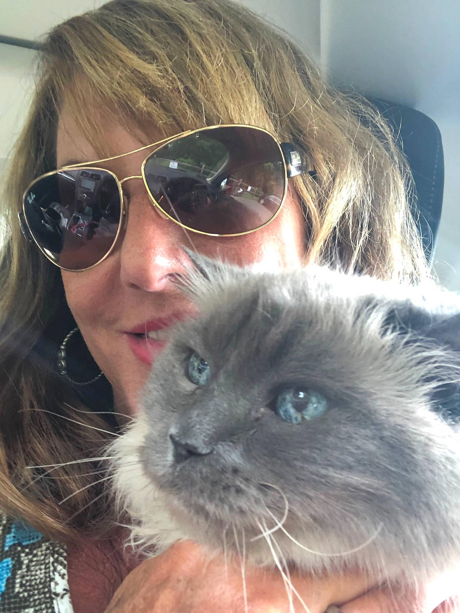Molly is registered to the contest to win money with this photo: blond, cat, eyewear, fawn, felidae, fur, glasses, hair, long_hair, nose, photography, rabbit, rabbits_and_hares, selfie, snout, sunglasses, vision_care, whiskers