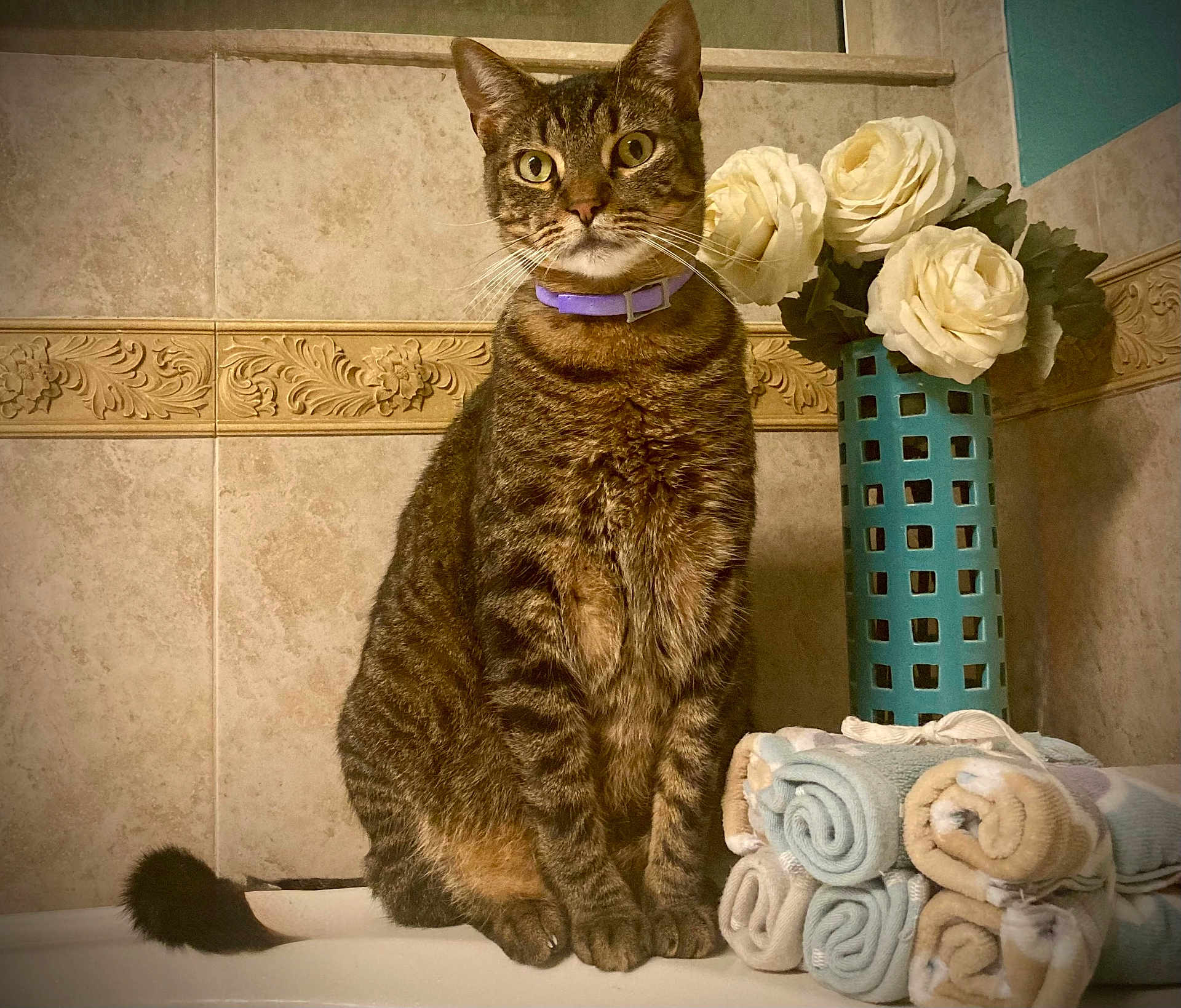 Carl
