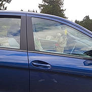 Poupoune participe au concours pour gagner de l'argent avec cette photo : cat, tabby, car, blue_car, window, reflection, trees, outdoor, nature, collar, pet, animal, vehicle, side_view, daytime, parked_car, curious, looking_out, seat, interior