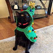 Binx joined the competition — help win amazing prizes! cat, black_cat, costume, christmas_tree, holiday, pom_poms, yellow_eyes, pink_collar, bell, indoor, living_room, rug, wooden_floor, furniture, tv_stand, decor, pet, cute, animal, sitting