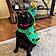 Binx