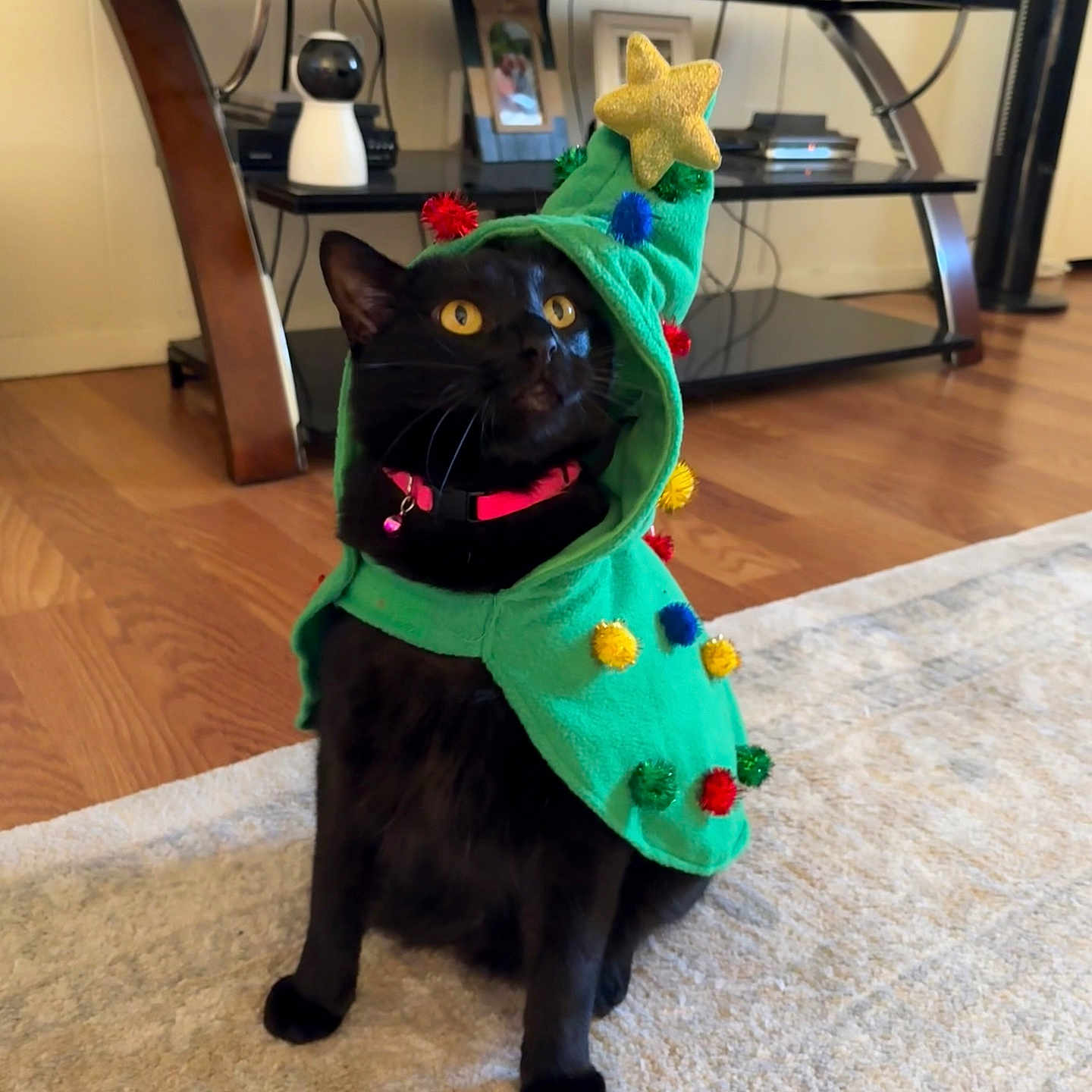 Binx
