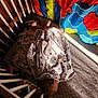 Zane And Rayden is registered to the contest to win money with this photo: child, sleeping, blanket, crib, bed, bedding, sunlight, shadow, indoor, toddler, cozy, nap, pattern, colorful, wood, floor, rest, quiet, soft, peaceful