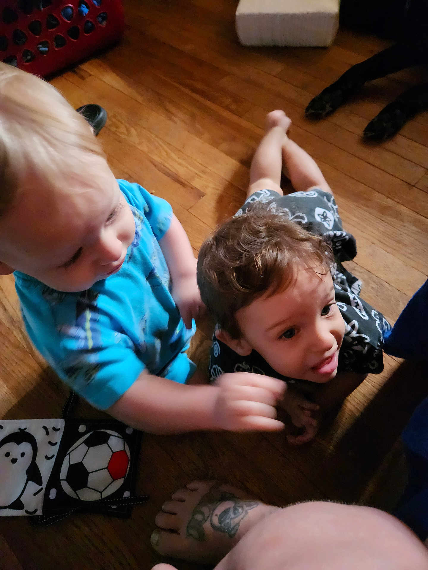 Zane And Rayden joined the competition — help win amazing prizes! toddler, child, floor, toy, penguin, soccer_ball, blue_shirt, curly_hair, tattoo, foot, wooden_floor, playful, indoor, person, baby, hand, expression, casual_clothing, candid, interaction