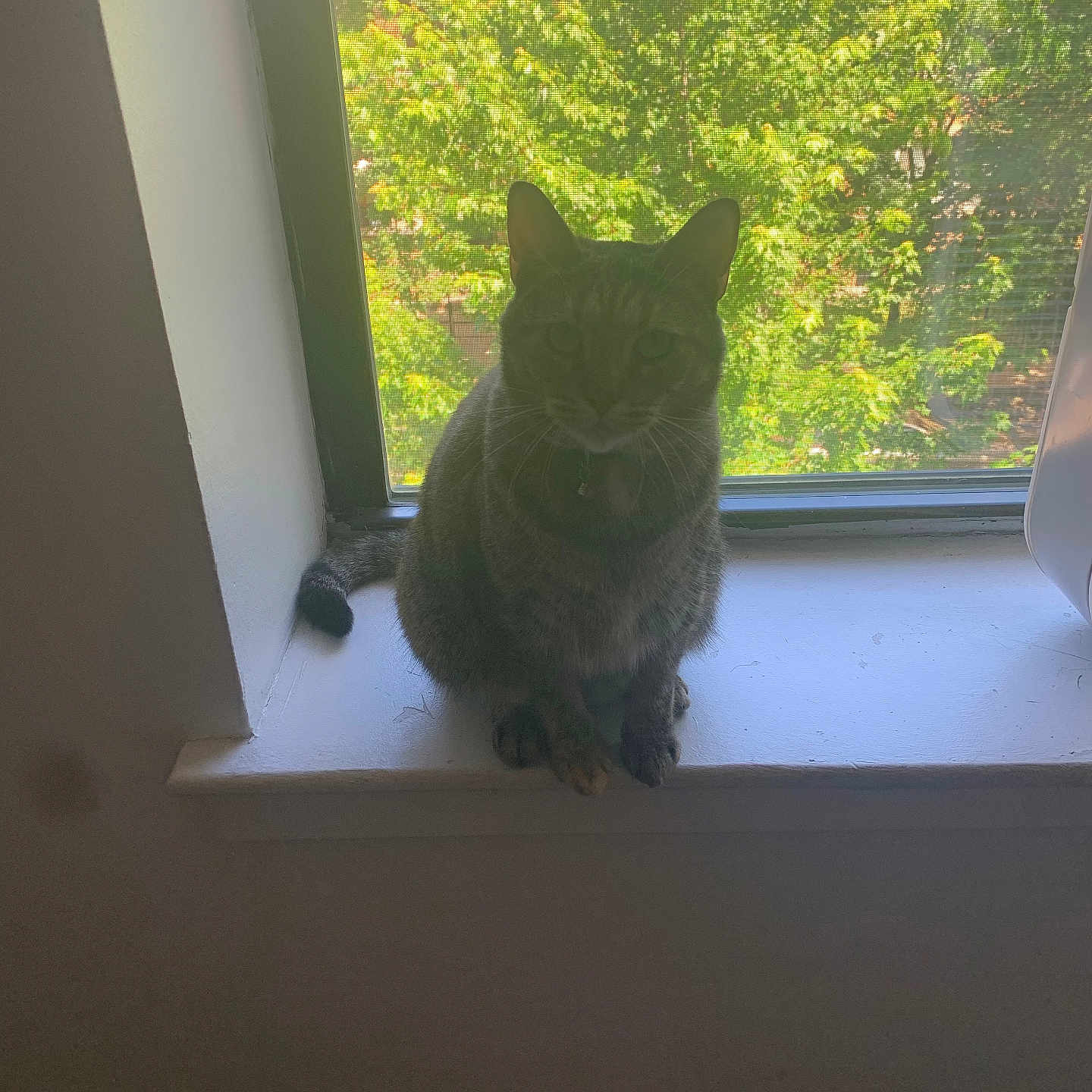Tinkerbell