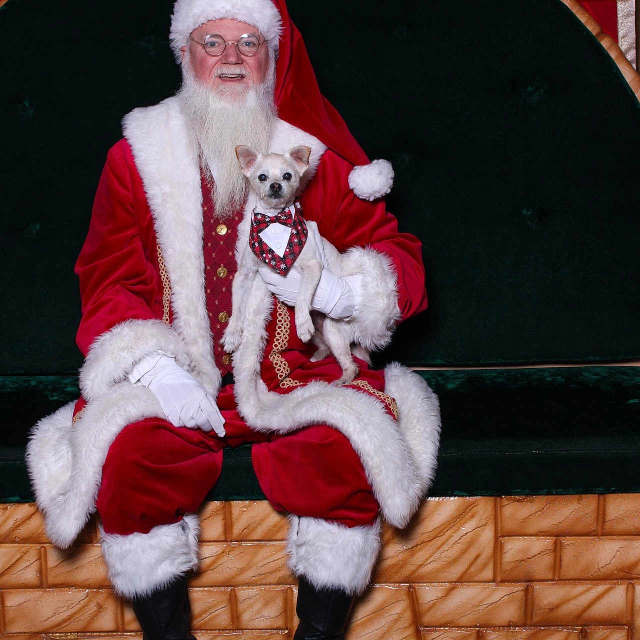 Cornelius joined the competition — help win amazing prizes! beard, bench, boots, bow_tie, celebration, christmas, costume, dog, festive, glasses, gloves, holiday, indoor, pet, portrait, red_clothing, santa_claus, small_dog, smiling, white_fur