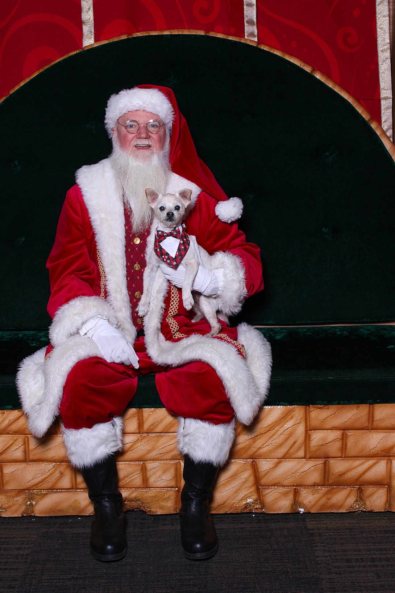 Cornelius joined the competition — help win amazing prizes! santa_claus, dog, christmas, holiday, costume, beard, glasses, red_clothing, white_fur, pet, bow_tie, bench, festive, portrait, smiling, indoor, boots, gloves, small_dog, celebration