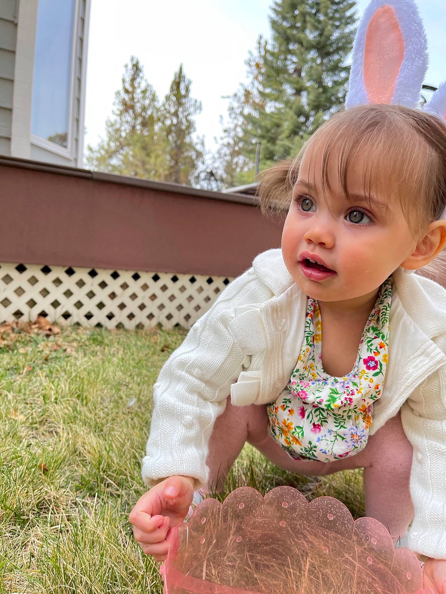 Ila joined the competition — help win amazing prizes! baby_toddler_clothing, bangs, cap, child, dress, fawn, fun, fur, grass, happy, leaf, peach, people_in_nature, person, plant, sitting, sky, sleeve, toddler, tree