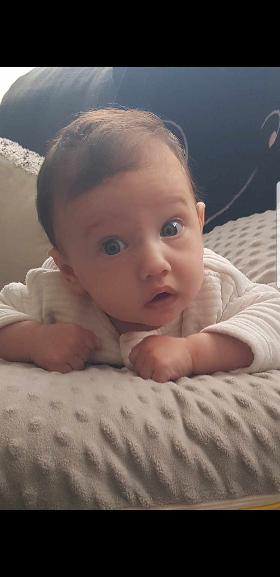 Isabella