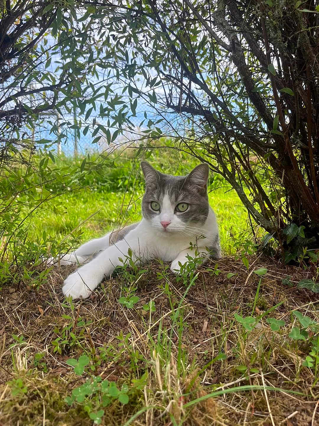Rio